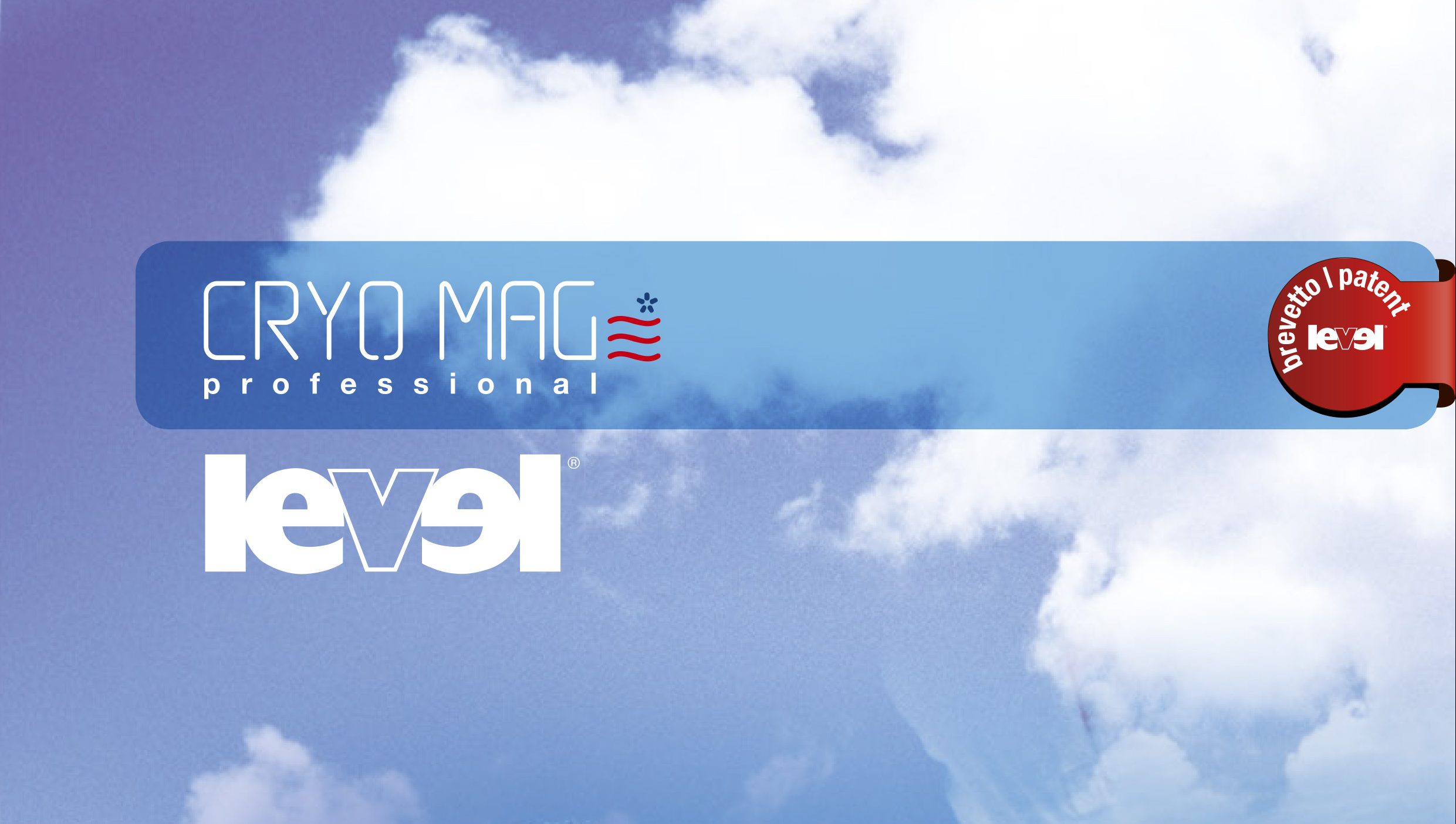 LEVEL - 4 ante CRYOMAG DP26-3